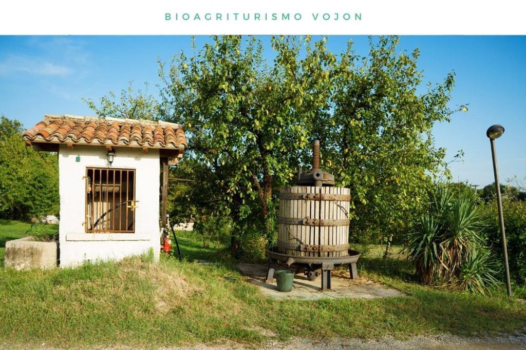 Bio Agriturismo Vojon Понти-суль-Минчо Экстерьер фото
