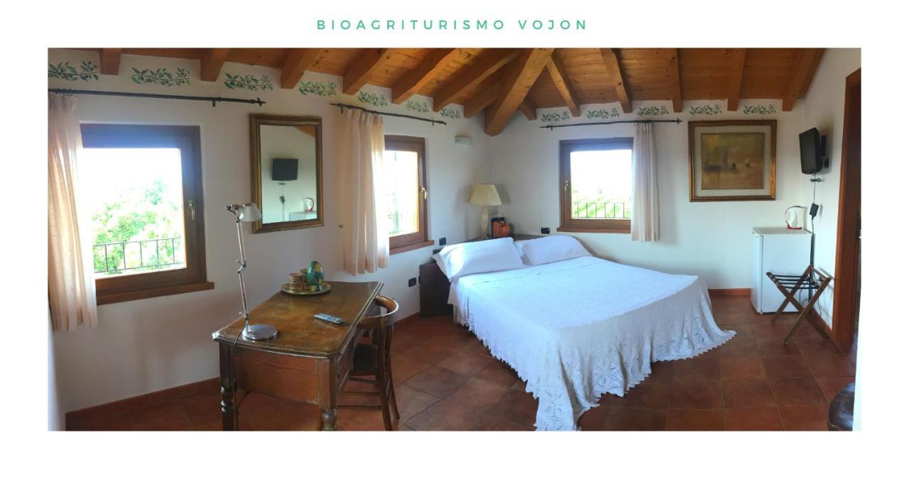 Bio Agriturismo Vojon Понти-суль-Минчо Экстерьер фото