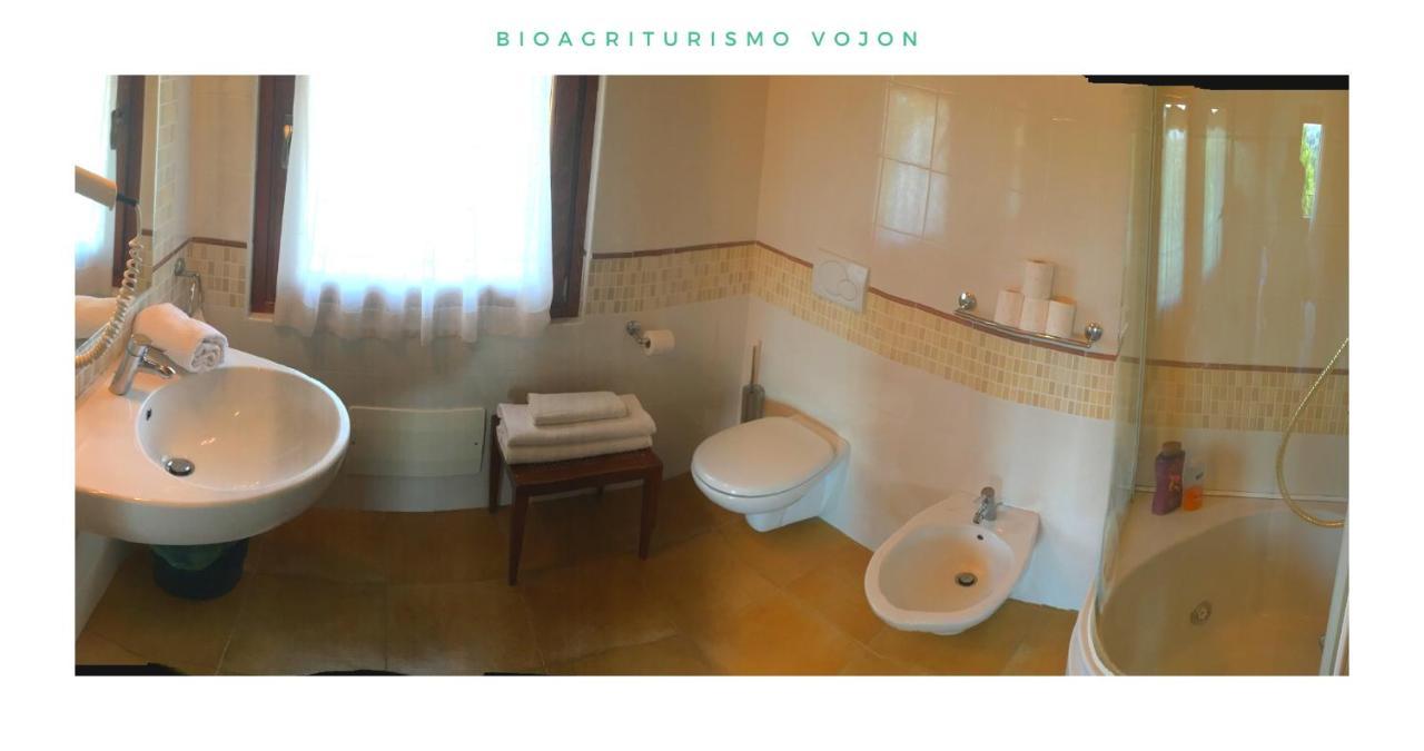 Bio Agriturismo Vojon Понти-суль-Минчо Экстерьер фото
