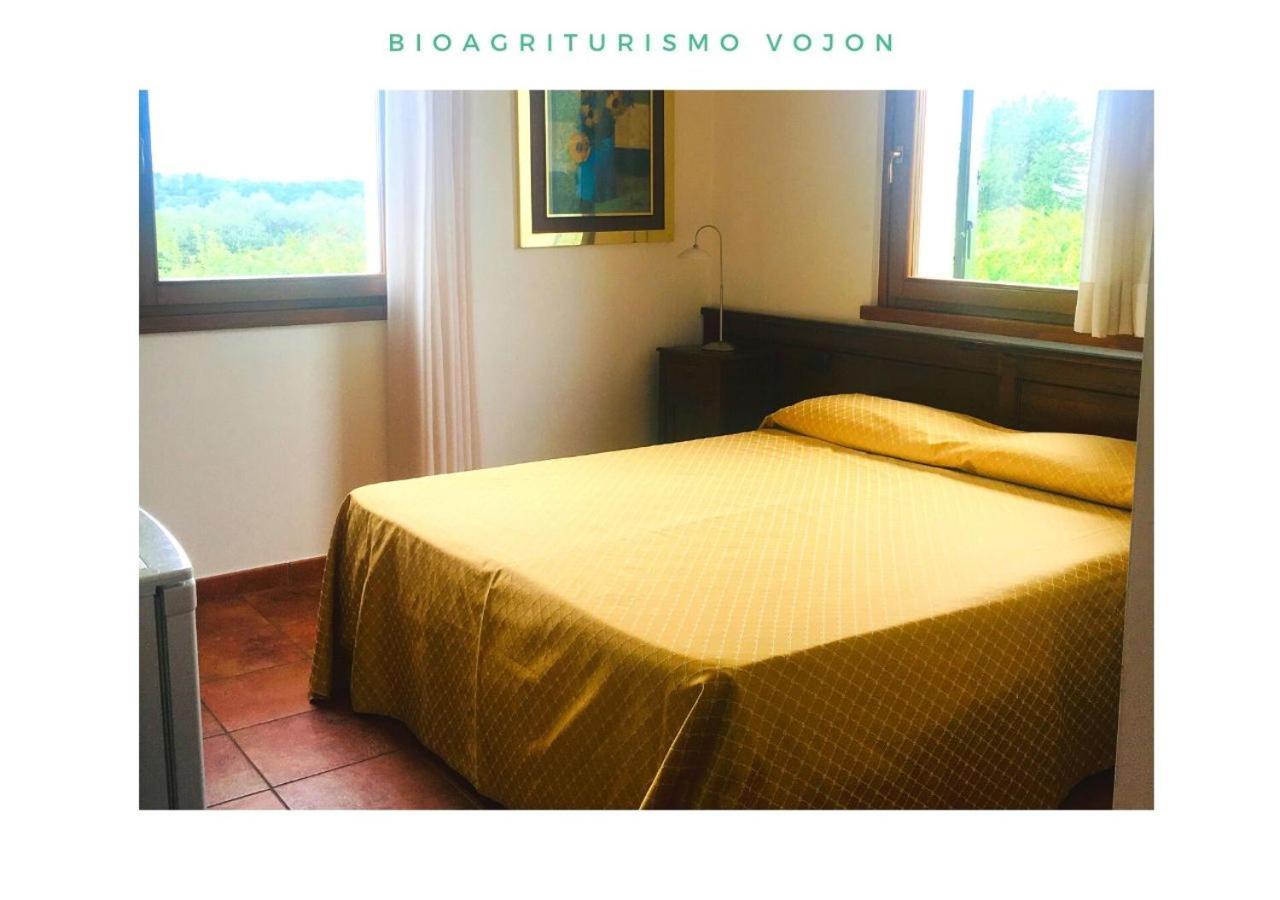 Bio Agriturismo Vojon Понти-суль-Минчо Экстерьер фото