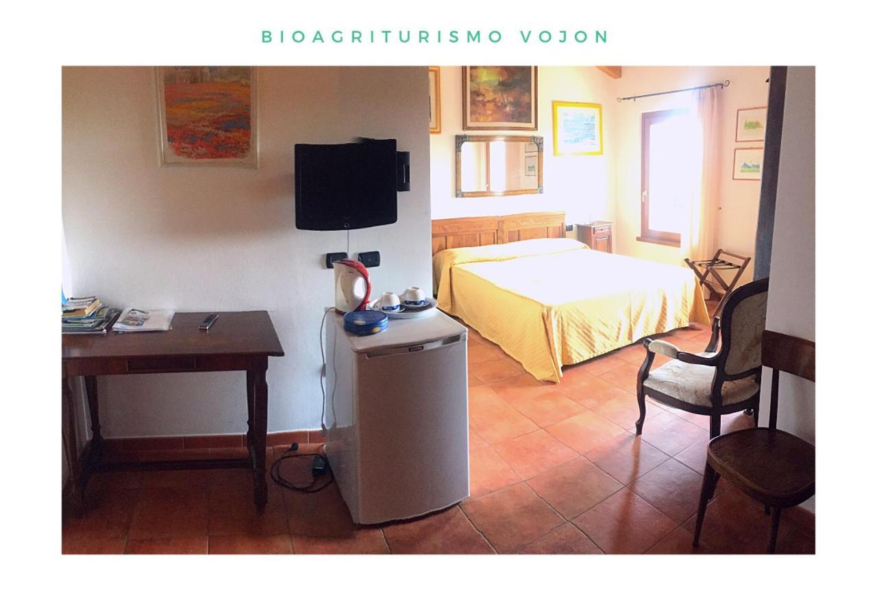 Bio Agriturismo Vojon Понти-суль-Минчо Экстерьер фото