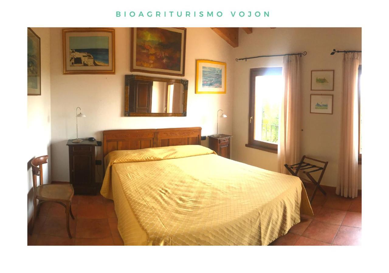 Bio Agriturismo Vojon Понти-суль-Минчо Экстерьер фото