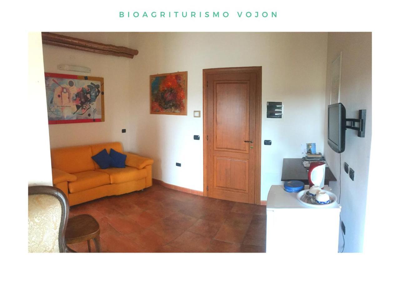 Bio Agriturismo Vojon Понти-суль-Минчо Экстерьер фото